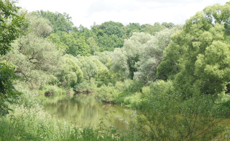 река Нара